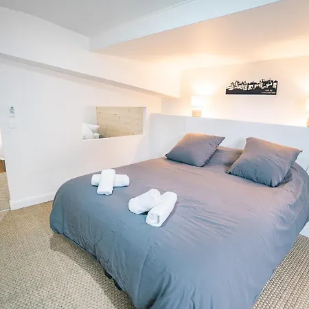 Face A La Cite, Terrasse Et Climatisation - Ae Daire