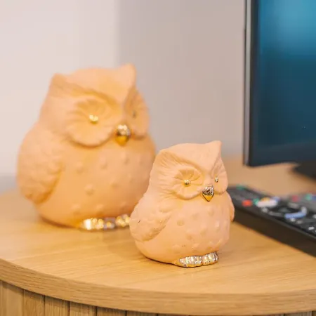 Face A La Cite, Terrasse Et Climatisation - Ae Daire *