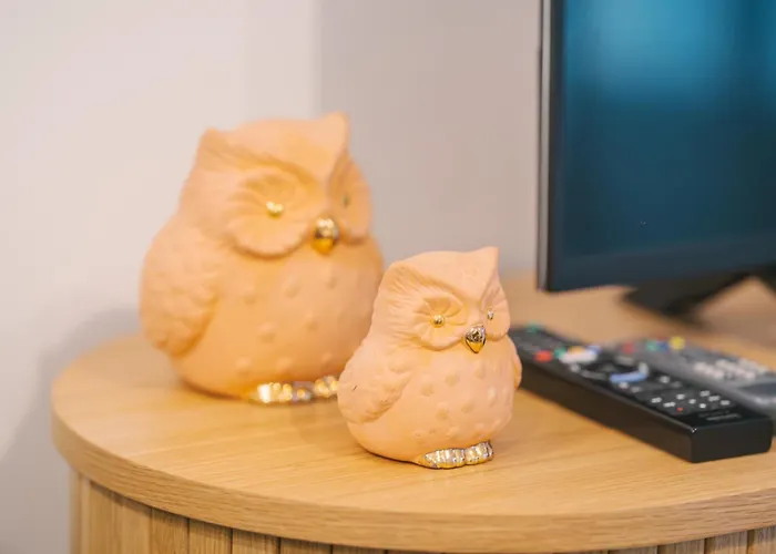 Face A La Cite, Terrasse Et Climatisation - Ae Apartment *